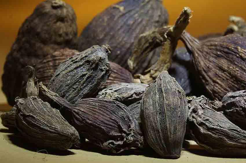 هلیله سیاه فله ای